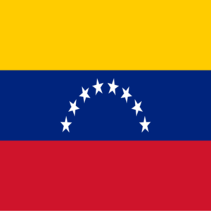 Elecciones en Venezuela 2024