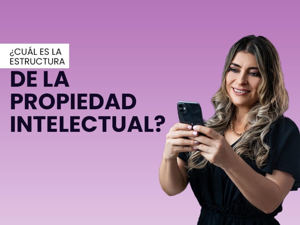 ¿Cuál es la estructura de la Propiedad Intelectual?