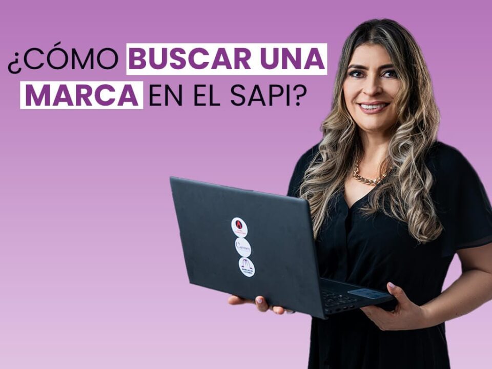 ¿Cómo buscar una marca en el SAPI?