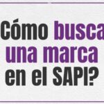 ¿Cómo buscar una marca en el SAPI?